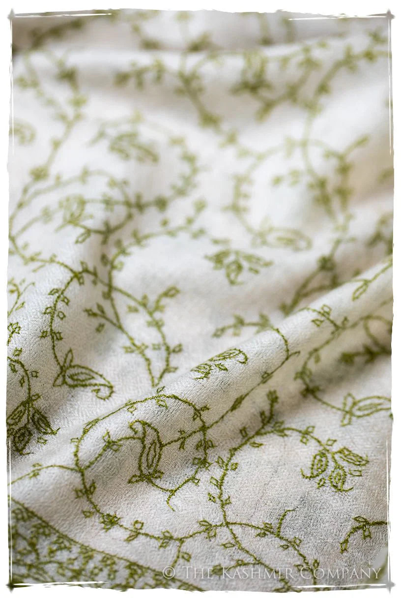 Pashmina Scarf