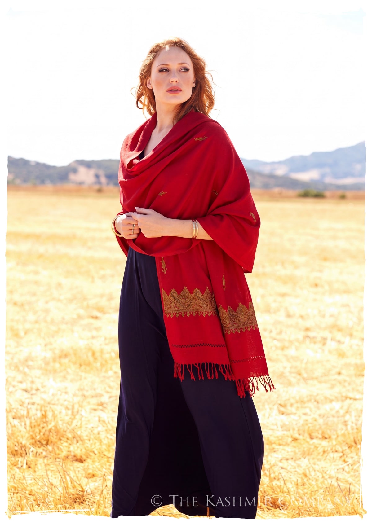 Rococco Frontière Paisley Gift Shawl — lifestyle