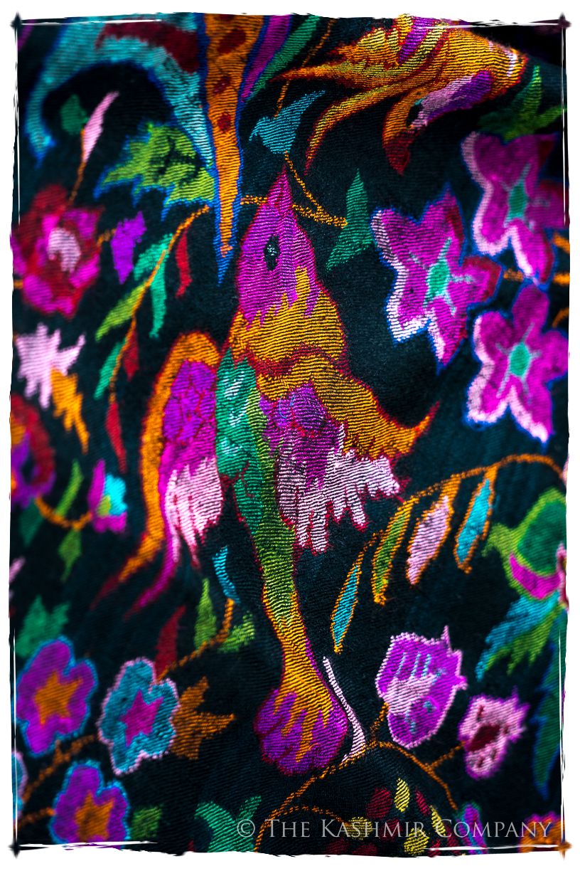 Oiséaux du Paradisé - Kani Grand Handloom Pashmina Shawl