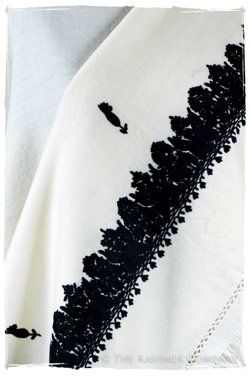 Josefina Frontières Paisley Gift Shawl