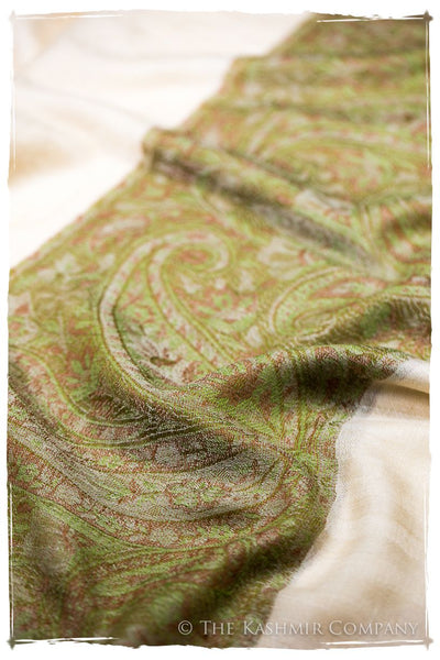Nezha Paisley Frontière Pashmina Cashmere Scarf
