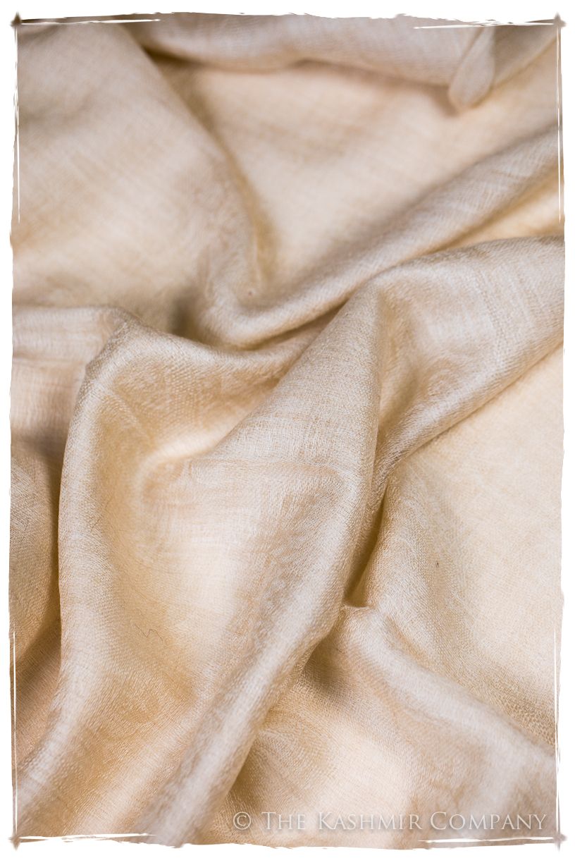 Nafisa Paisley Frontière Pashmina Cashmere Scarf