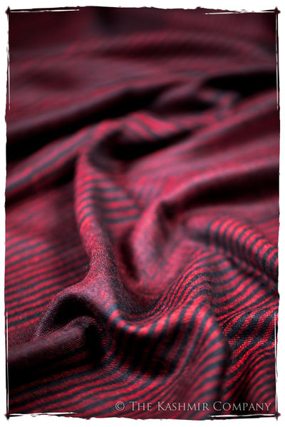 The Wilson - Handloom Pashmina Cashmere Scarf