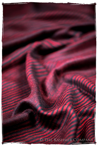 The Wilson - Handloom Pashmina Cashmere Scarf