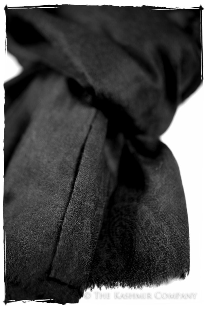 Caviar Paisley Kashmir Wool Scarf