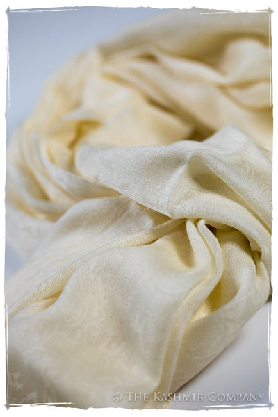 Afterglow Paisley Kashmir Wool Scarf