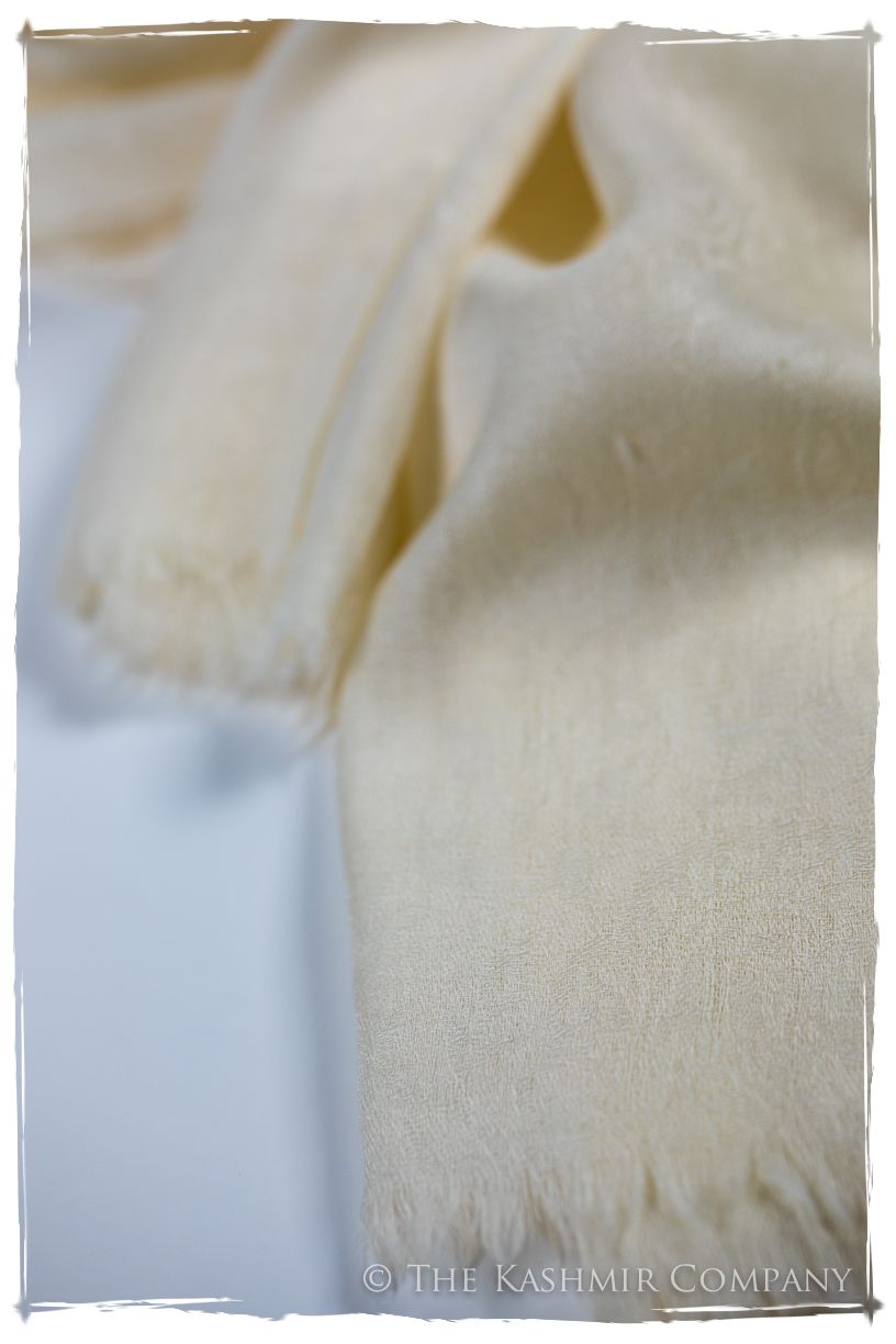 Afterglow Paisley Kashmir Wool Scarf