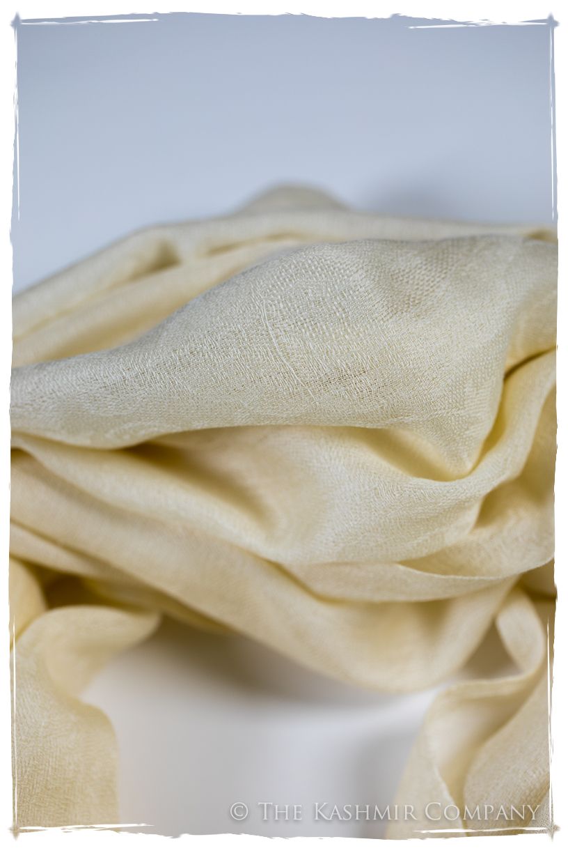 Afterglow Paisley Kashmir Wool Scarf
