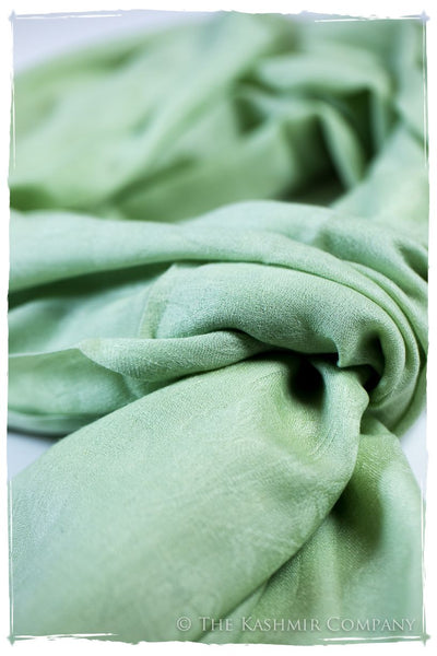 Nile Mist Paisley Kashmir Wool Scarf