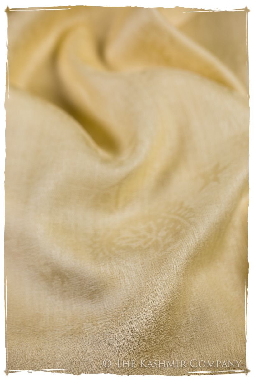 Raffia Paisley Kashmir Wool Scarf