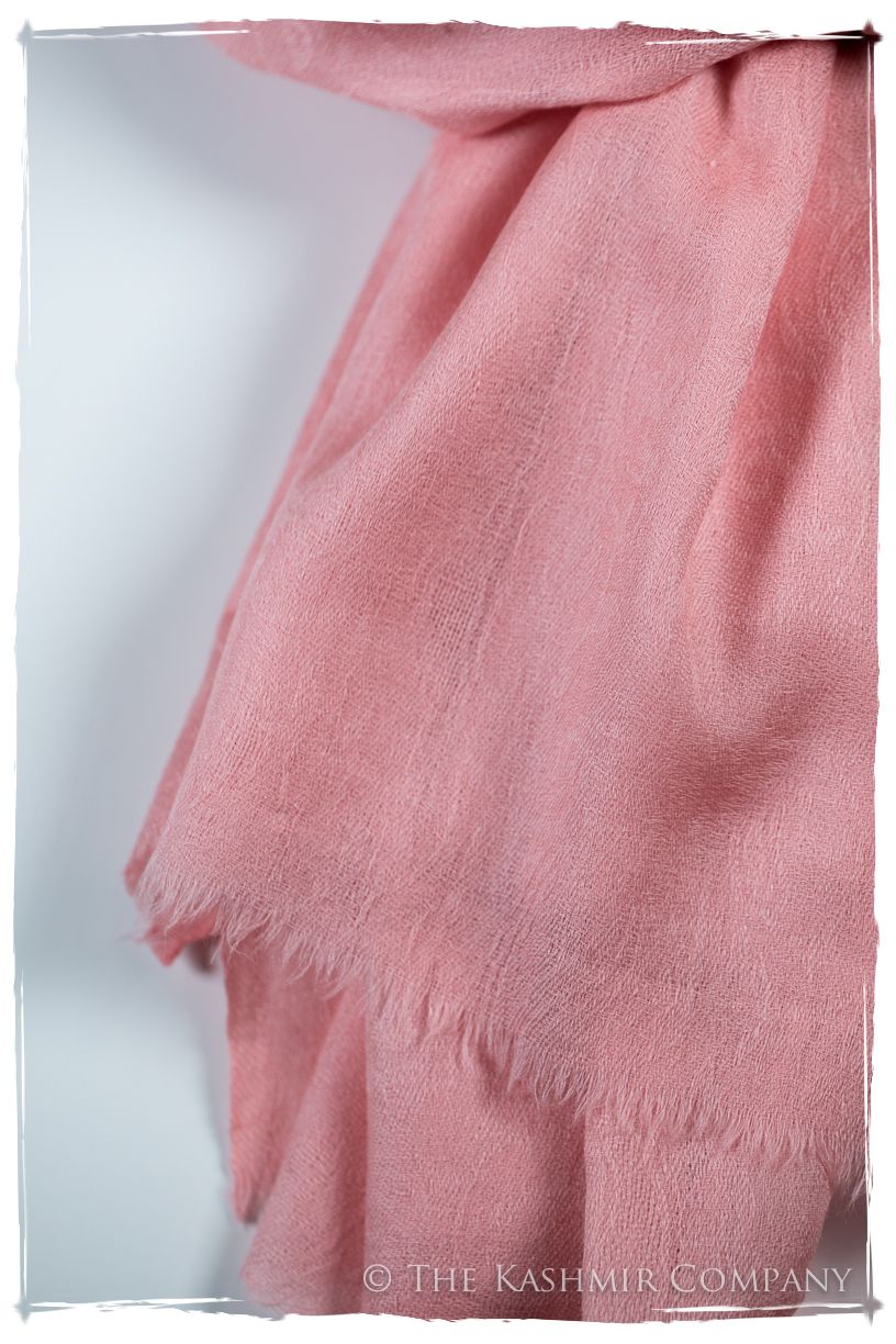 Almond Blossom Paisley Kashmir Wool Scarf