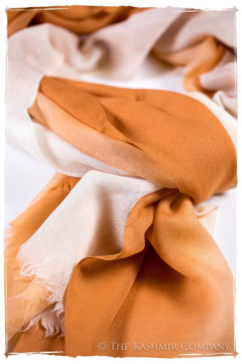 Sandstone Harmonieuse Kashmir Wool Scarf