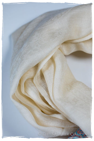 Gelsomina Frontière Ivory Kashmir Wool Scarf