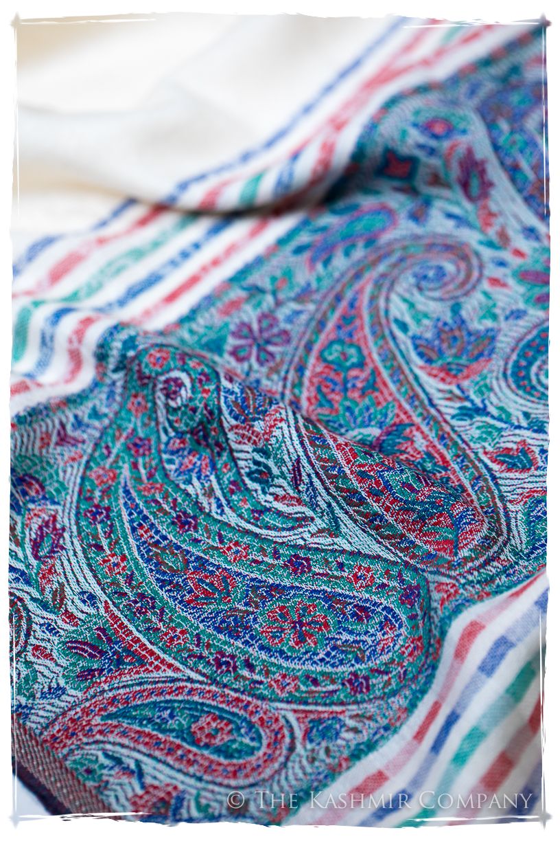 Graziella Frontière Ivory Kashmir Wool Scarf