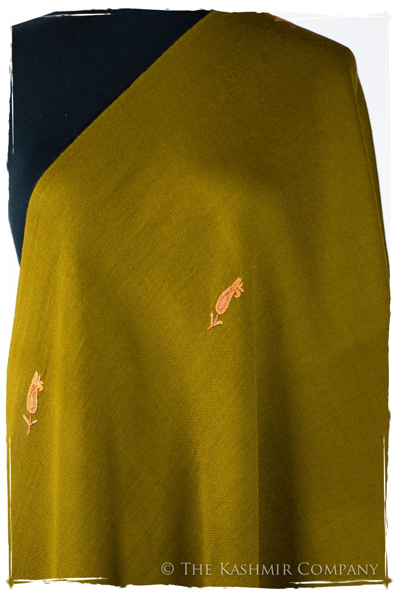 Euphraise Frontières Paisley Gift Shawl