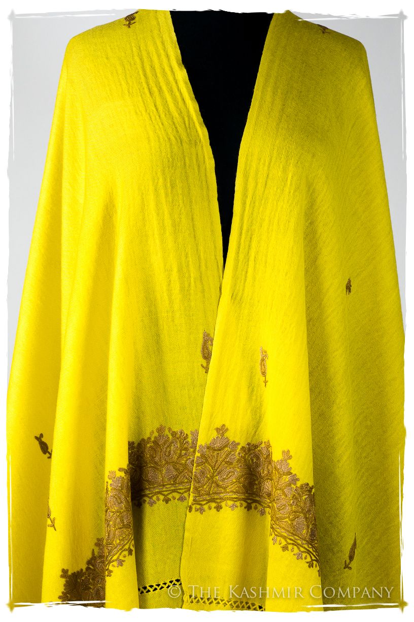 Solange Frontières Paisley Gift Shawl