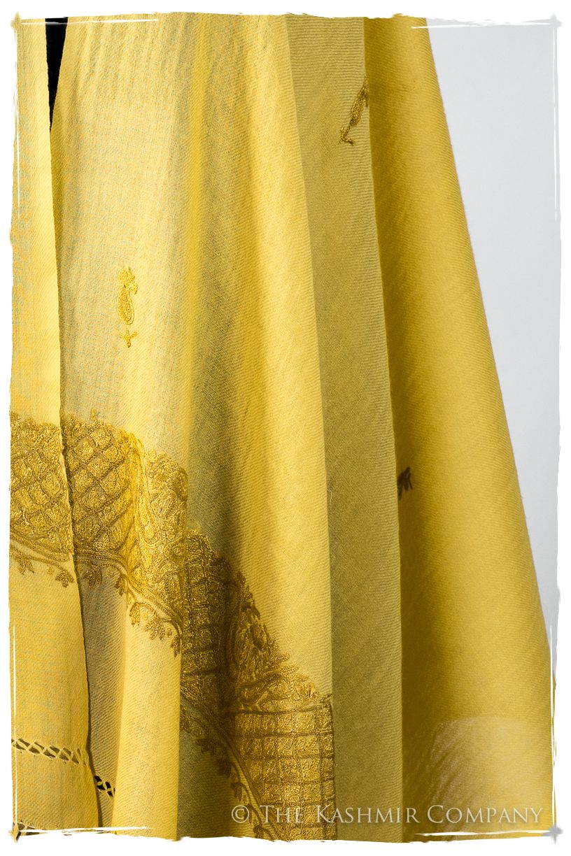 Seychelle Frontières Paisley Gift Shawl