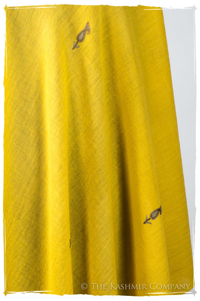 Salomé Frontières Paisley Gift Shawl