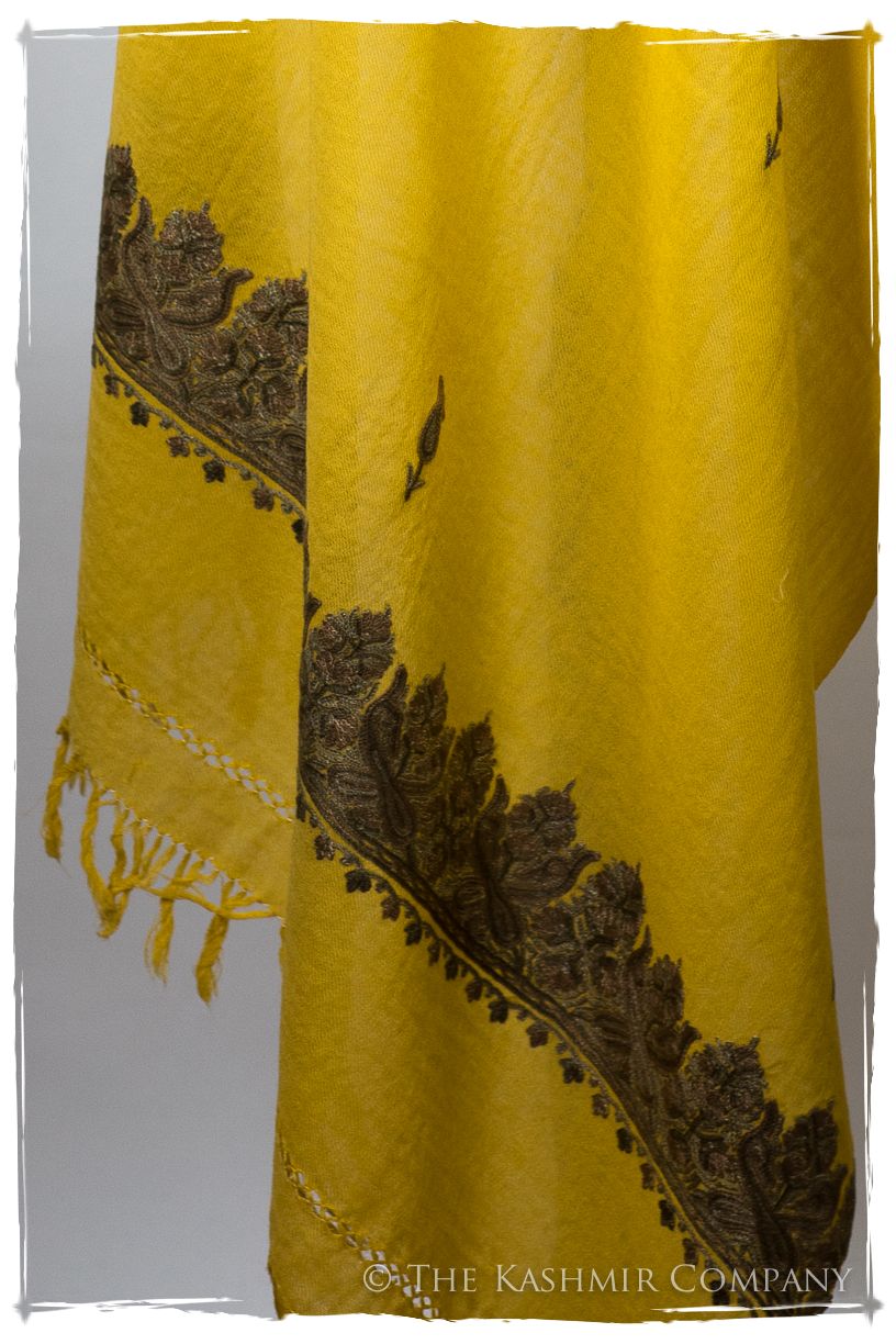 Salomé Frontières Paisley Gift Shawl