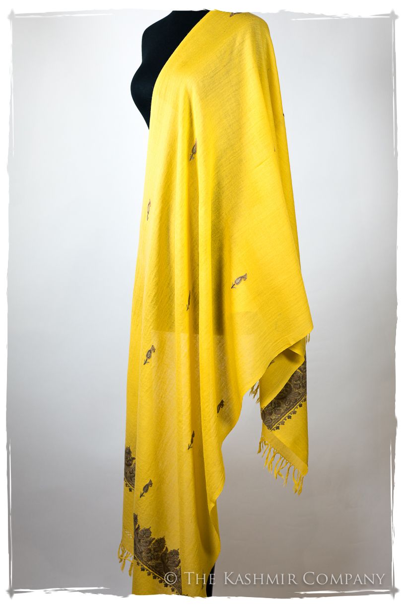 Salomé Frontières Paisley Gift Shawl