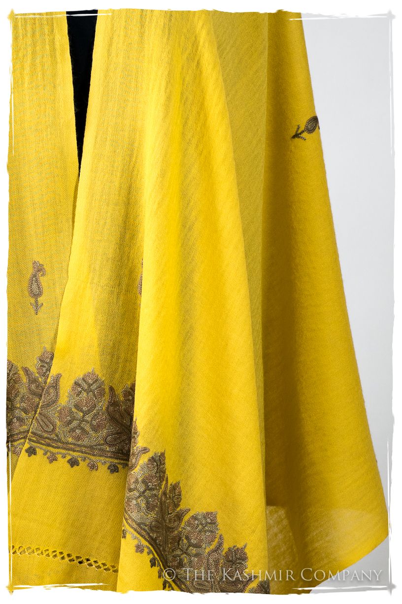 Salomé Frontières Paisley Gift Shawl