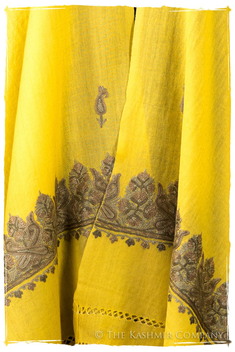 Salomé Frontières Paisley Gift Shawl
