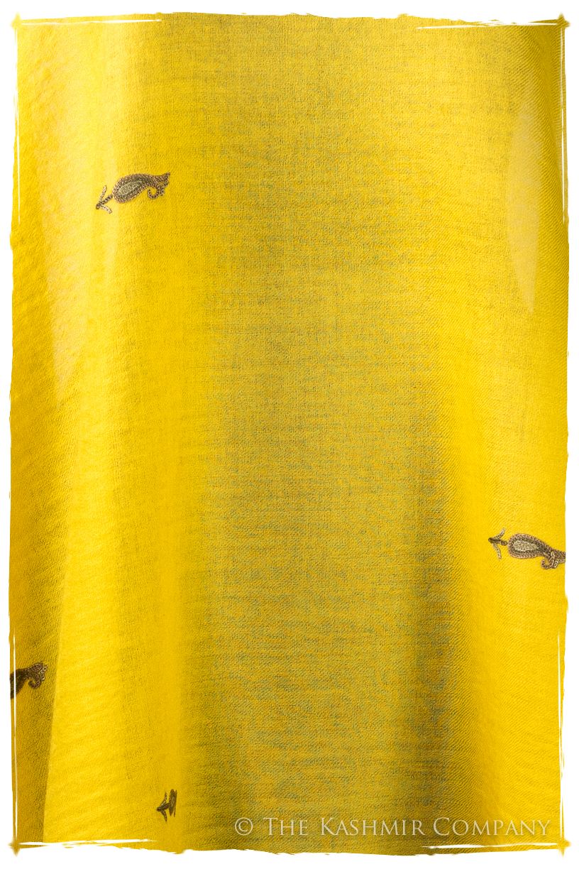 Salomé Frontières Paisley Gift Shawl