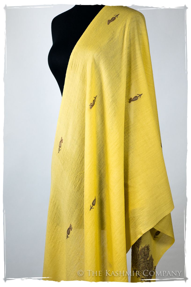Rochelle Frontières Paisley Gift Shawl
