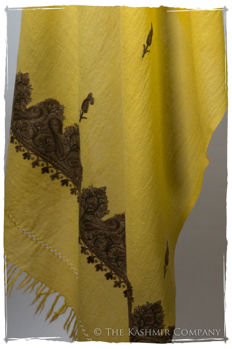 Rochelle Frontières Paisley Gift Shawl