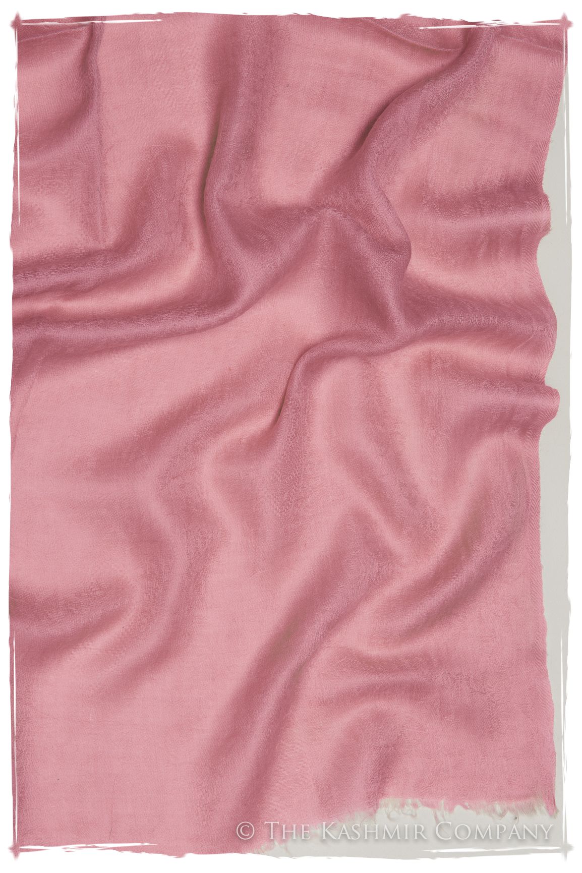 Jacquard Paisley Rosebloom Cashmere Scarf