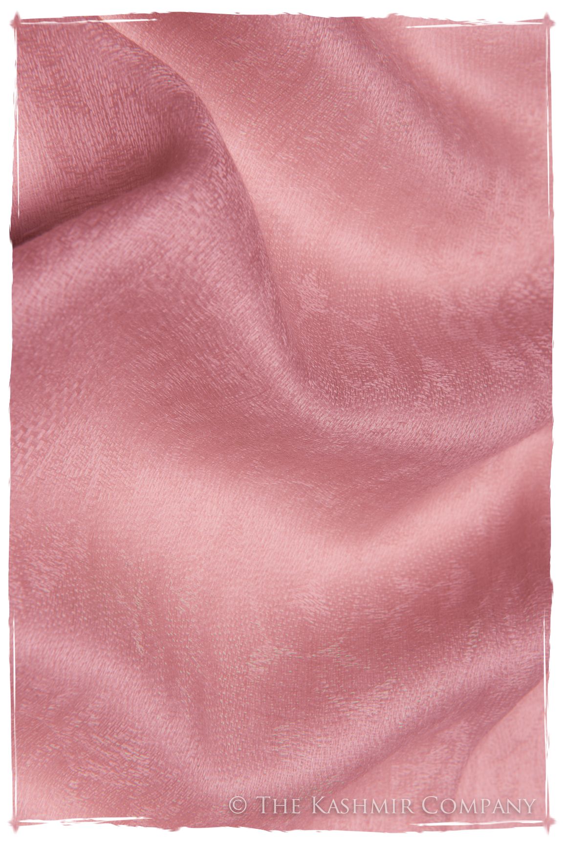 Jacquard Paisley Rosebloom Cashmere Scarf