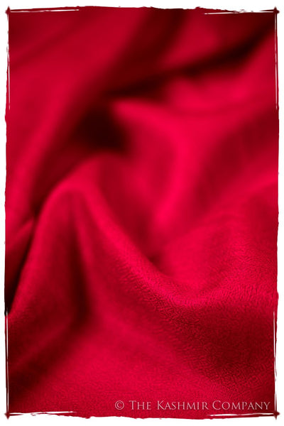 Bul Bul Fiery Kashmir Wool Scarf