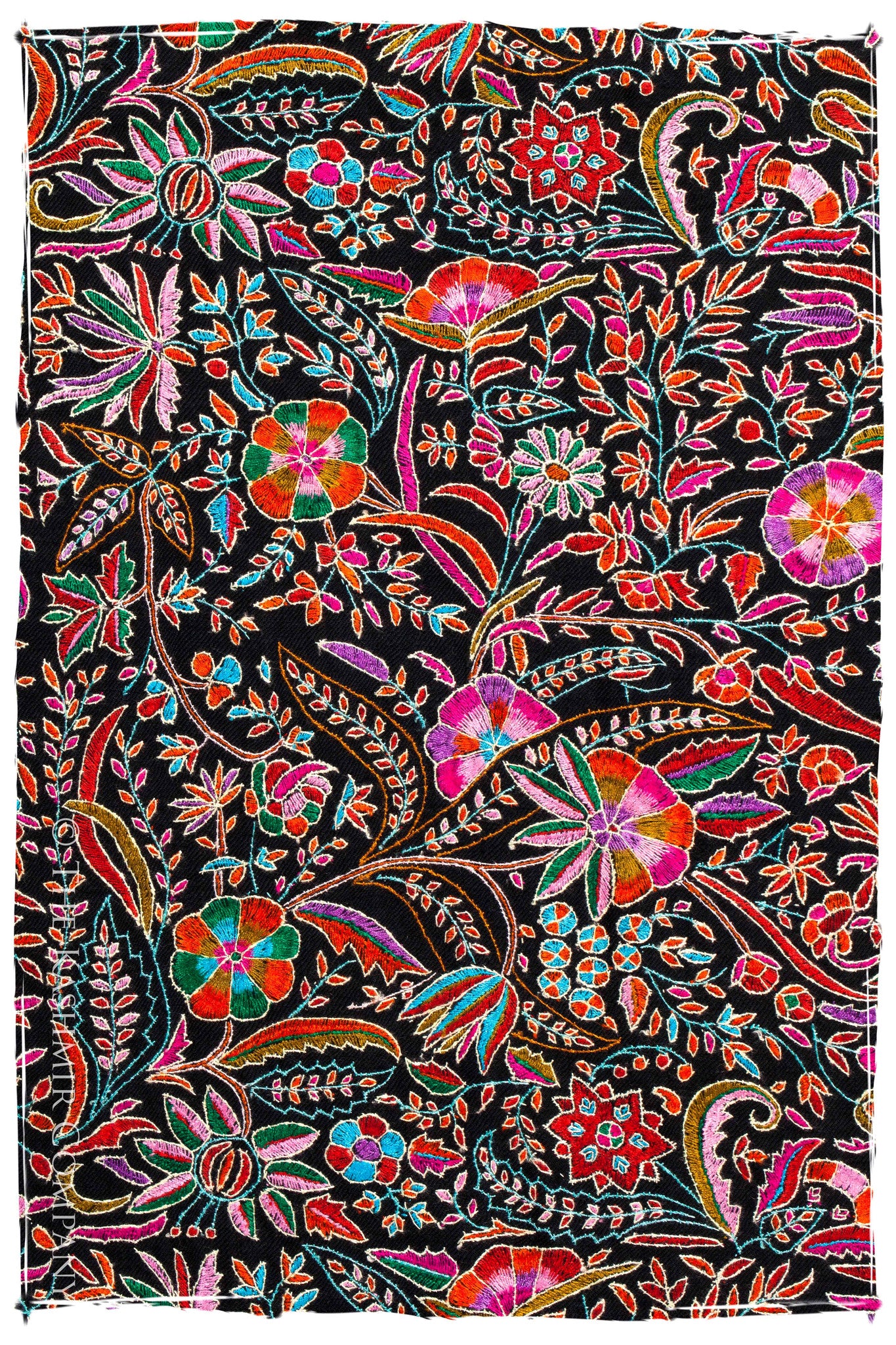The Storyteller - Grand Pashmina Shawl