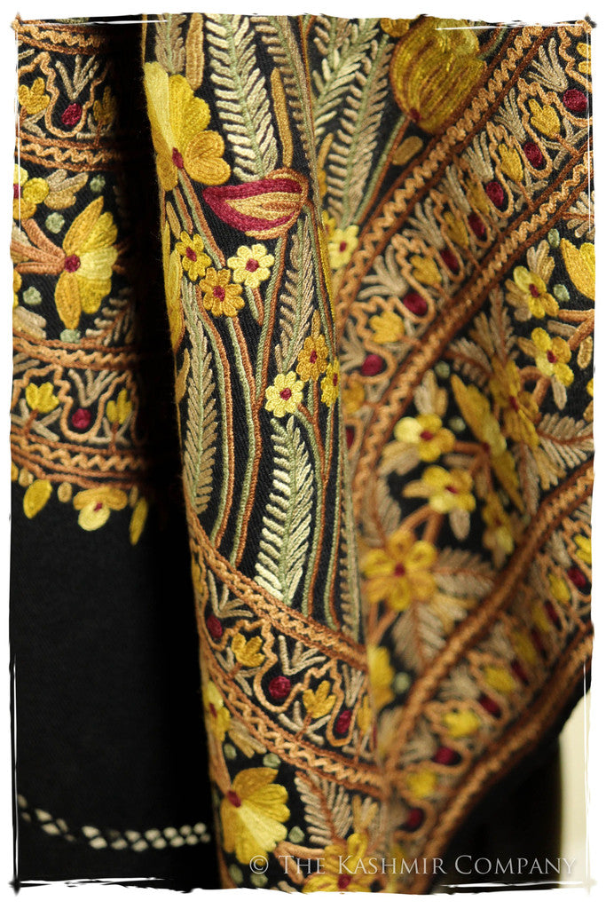 The Enchanted Shawl