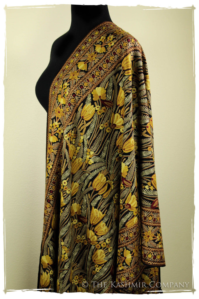 The Enchanted Shawl