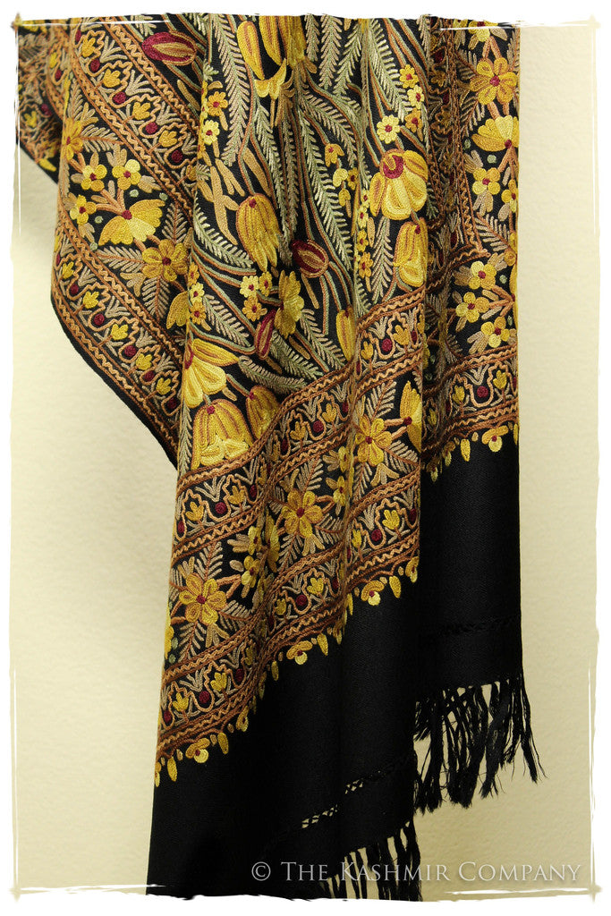 The Enchanted Shawl
