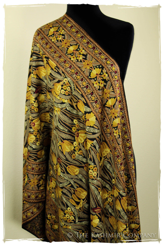 The Enchanted Shawl