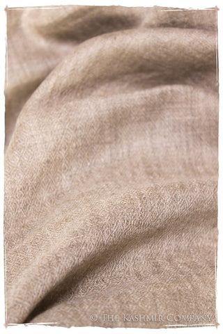 Taupe - Handloom Pashmina Cashmere Scarf