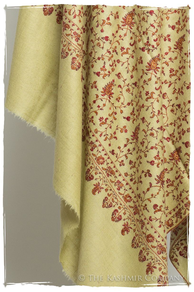 The Aztec Gold - Grand Pashmina Shawl