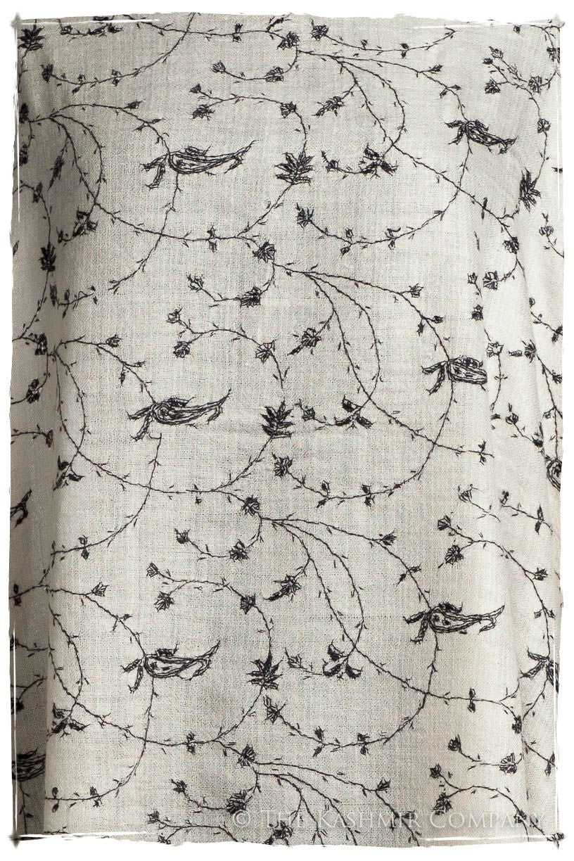 Clair de Lune Paisley L'amour Soft Cashmere Scarf/Shawl