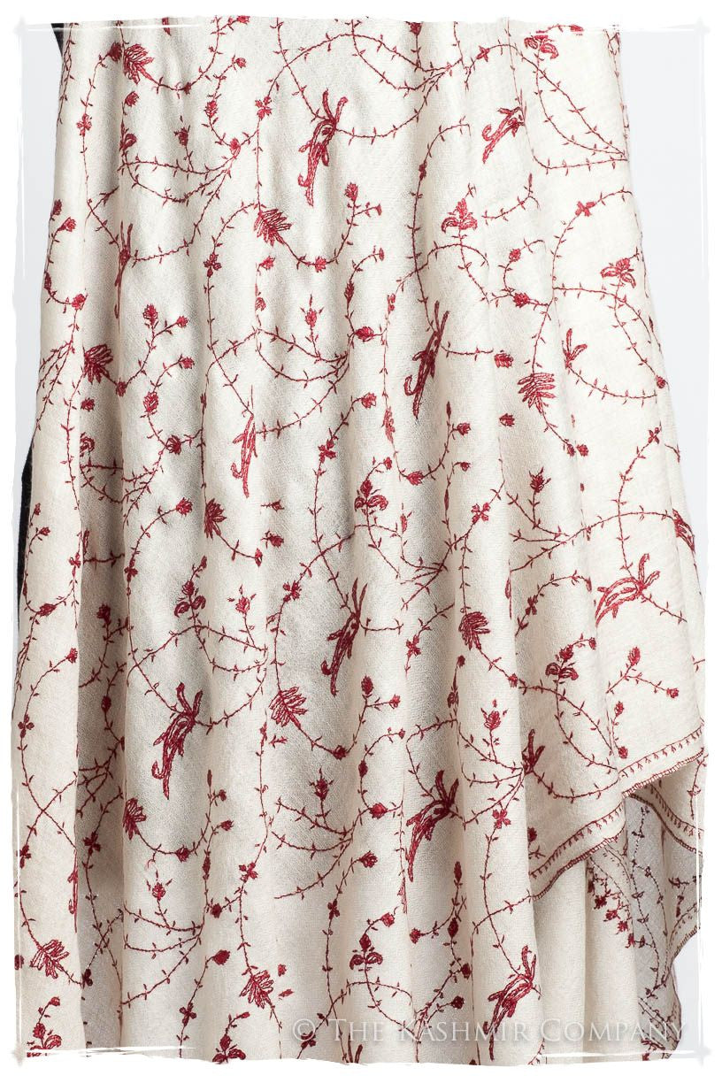 Bordeaux d'Ivoire Paisley L'amour Soft Cashmere Scarf/Shawl