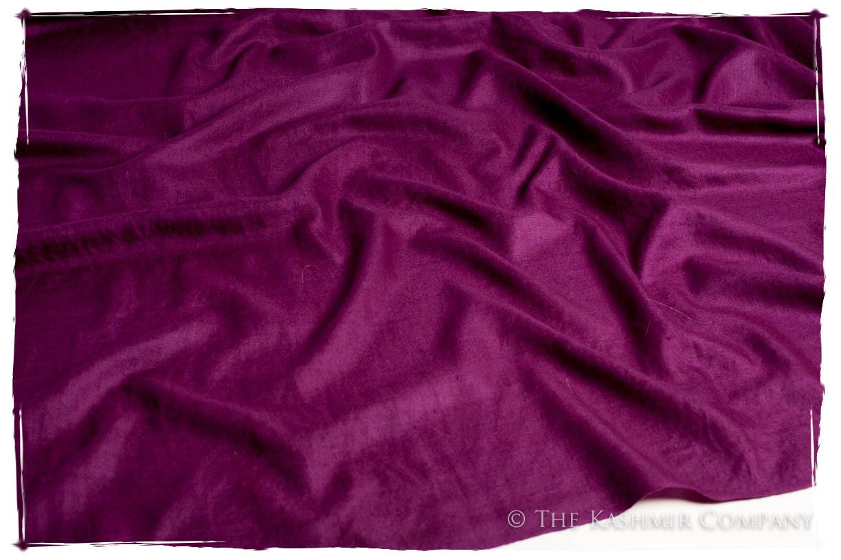 Jus de Raisin - Le Luxe Simple - Grand Handloom Pashmina Shawl