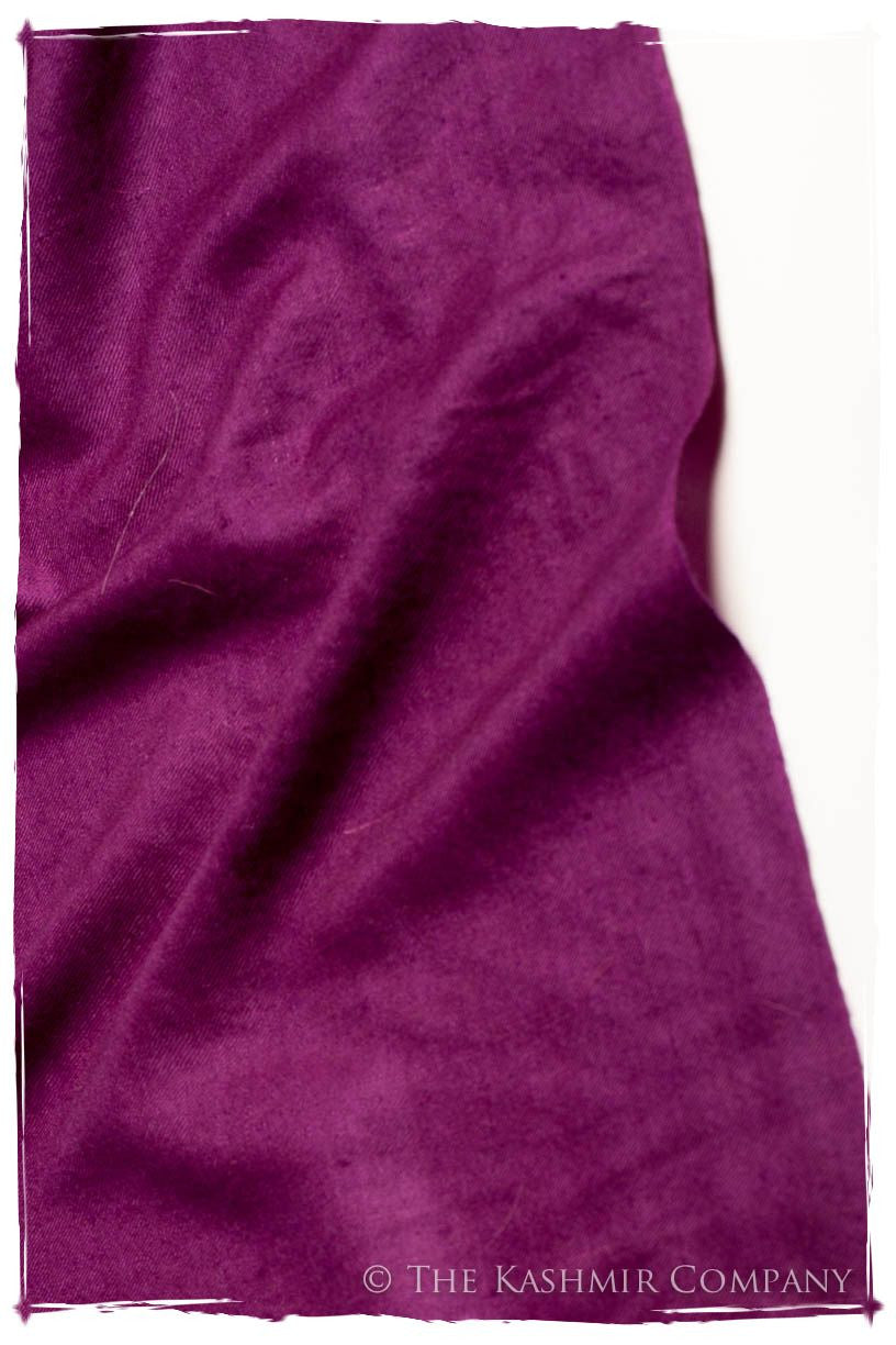 Jus de Raisin - Le Luxe Simple - Grand Handloom Pashmina Shawl