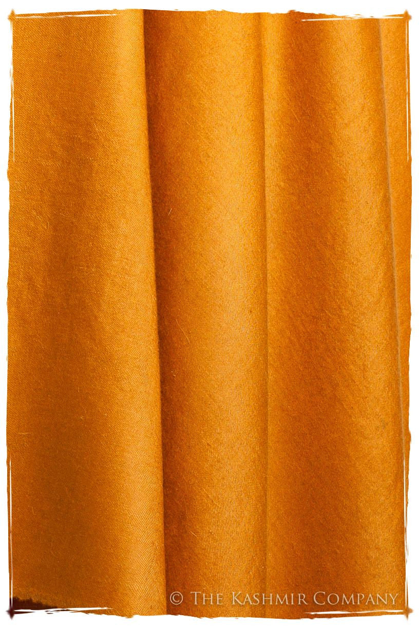 Golden Oak - Le Luxe Simple - Grand Handloom Pashmina Shawl