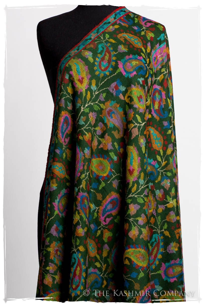 L’amazone - Kani Grand Handloom Pashmina Shawl