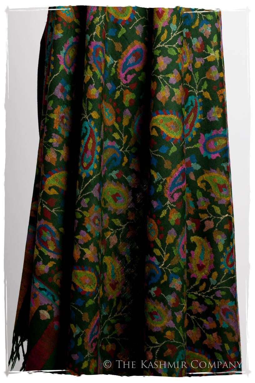 L’amazone - Kani Grand Handloom Pashmina Shawl