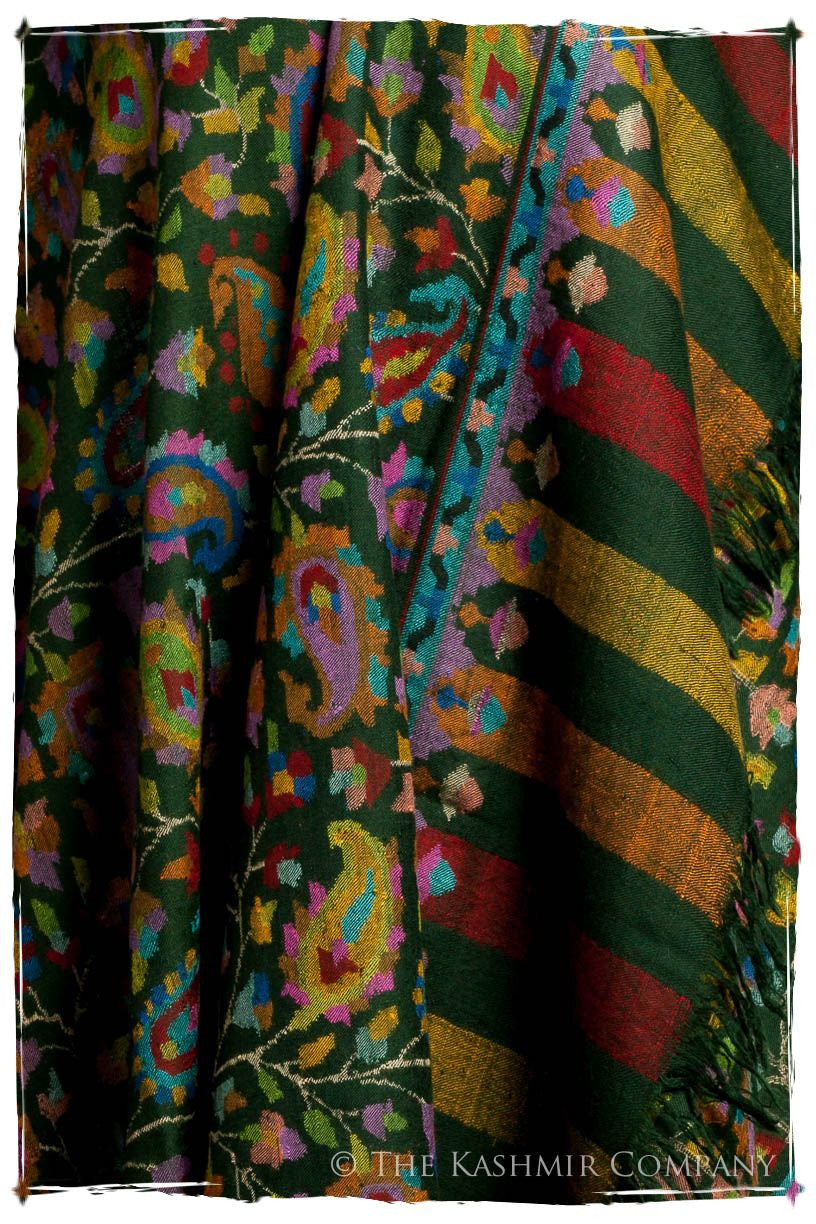 L’amazone - Kani Grand Handloom Pashmina Shawl