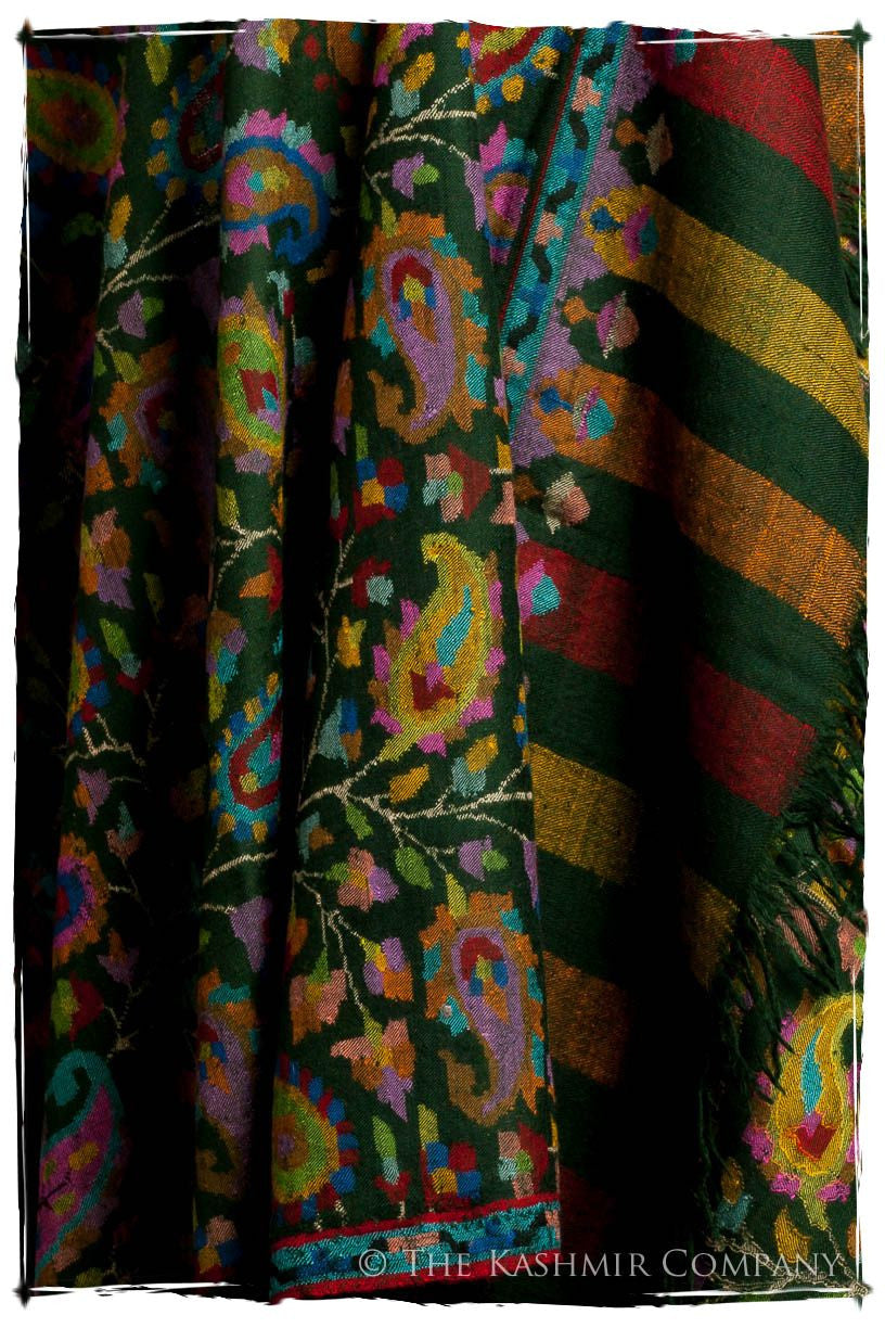 L’amazone - Kani Grand Handloom Pashmina Shawl
