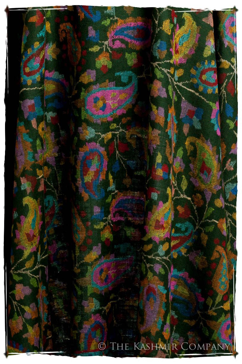 L’amazone - Kani Grand Handloom Pashmina Shawl