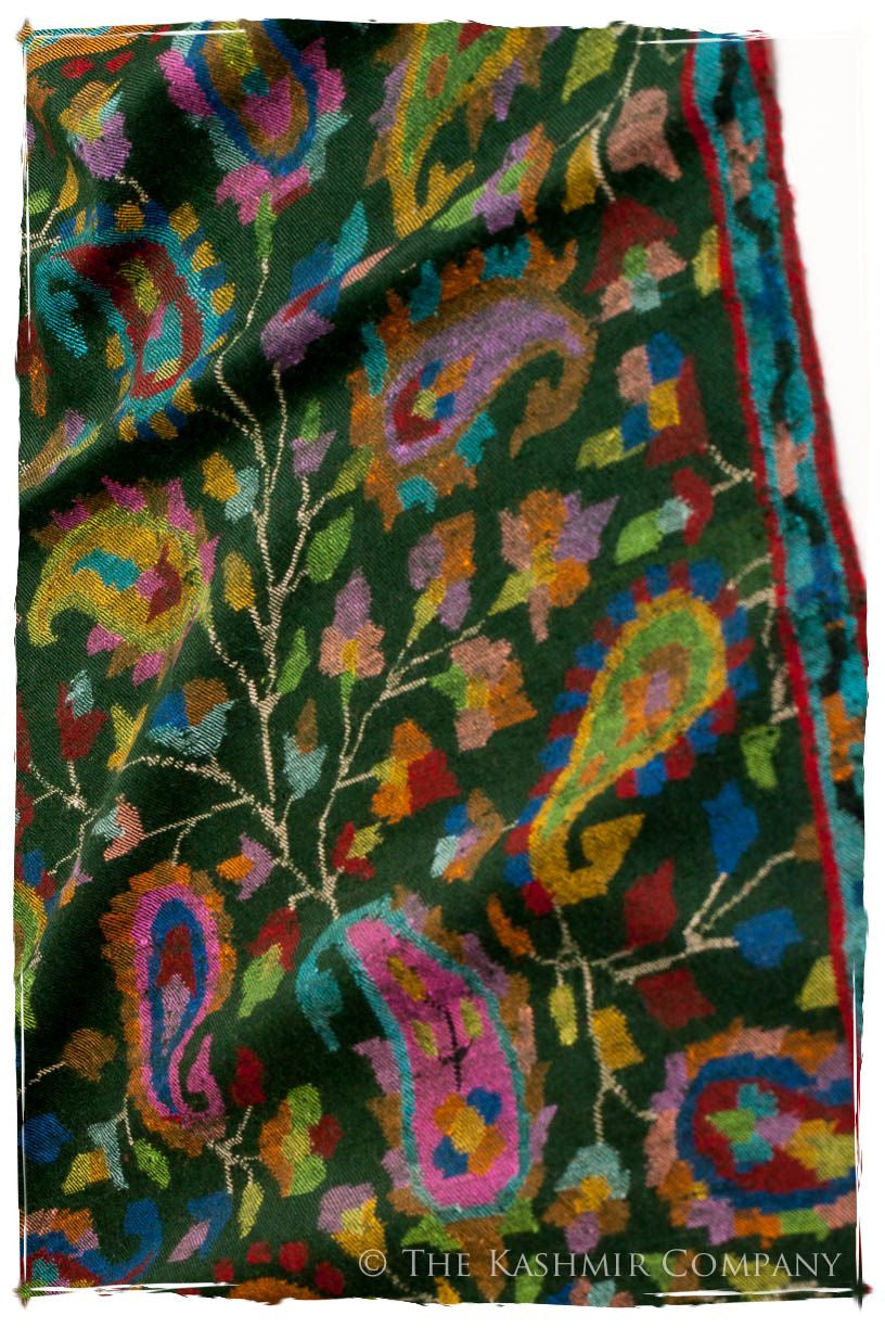 L’amazone - Kani Grand Handloom Pashmina Shawl
